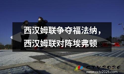 西汉姆联争夺福法纳，西汉姆联对阵埃弗顿