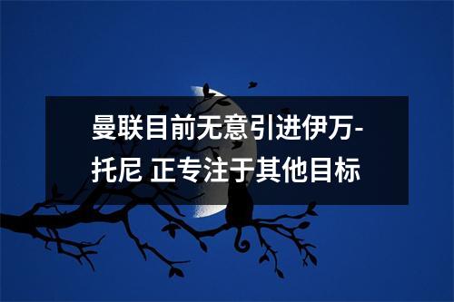 曼联目前无意引进伊万-托尼 正专注于其他目标