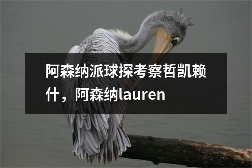阿森纳派球探考察哲凯赖什，阿森纳lauren
