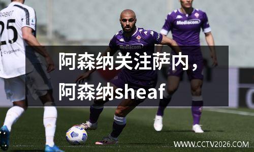 阿森纳关注萨内，阿森纳sheaf