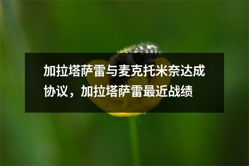 加拉塔萨雷与麦克托米奈达成协议，加拉塔萨雷最近战绩
