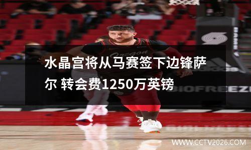 水晶宫将从马赛签下边锋萨尔 转会费1250万英镑