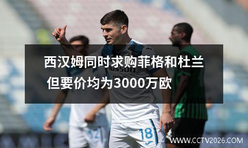 西汉姆同时求购菲格和杜兰 但要价均为3000万欧
