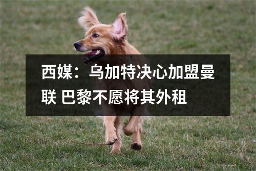 西媒：乌加特决心加盟曼联 巴黎不愿将其外租