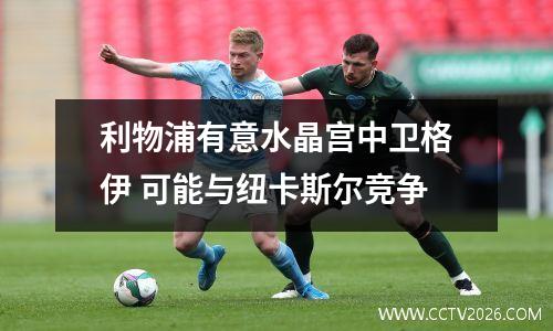 利物浦有意水晶宫中卫格伊 可能与纽卡斯尔竞争