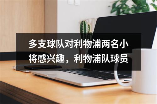 多支球队对利物浦两名小将感兴趣，利物浦队球员