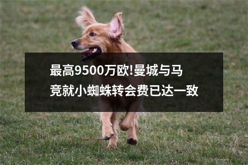 最高9500万欧!曼城与马竞就小蜘蛛转会费已达一致