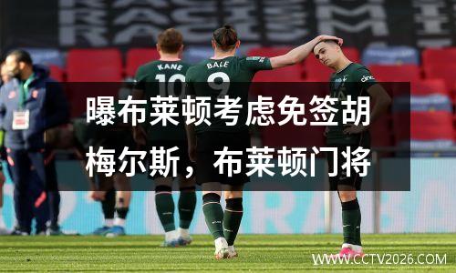 曝布莱顿考虑免签胡梅尔斯，布莱顿门将