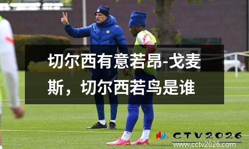 切尔西有意若昂-戈麦斯，切尔西若鸟是谁