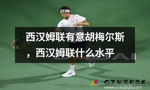 西汉姆联有意胡梅尔斯，西汉姆联什么水平