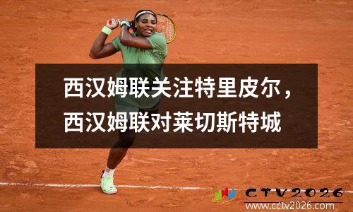 西汉姆联关注特里皮尔，西汉姆联对莱切斯特城