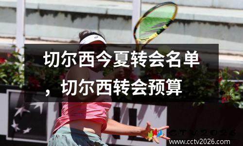 切尔西今夏转会名单，切尔西转会预算