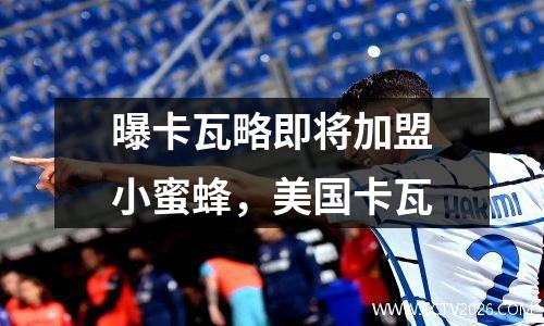 曝卡瓦略即将加盟小蜜蜂，美国卡瓦