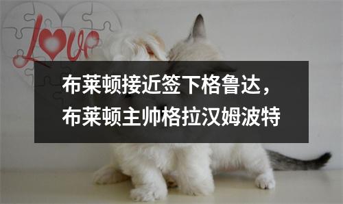 布莱顿接近签下格鲁达，布莱顿主帅格拉汉姆波特
