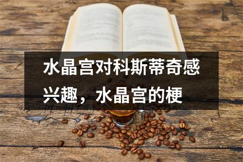 水晶宫对科斯蒂奇感兴趣，水晶宫的梗