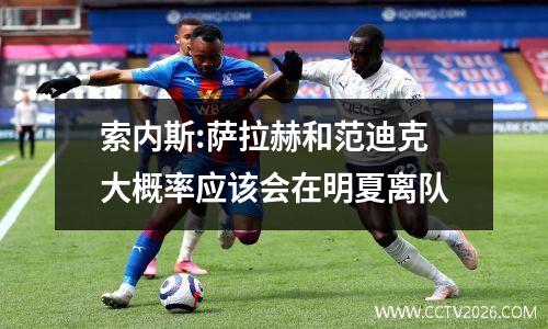 索内斯:萨拉赫和范迪克大概率应该会在明夏离队