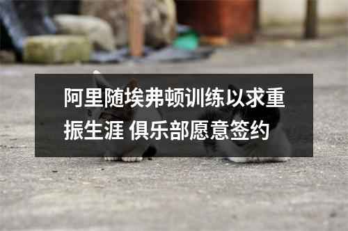 阿里随埃弗顿训练以求重振生涯 俱乐部愿意签约