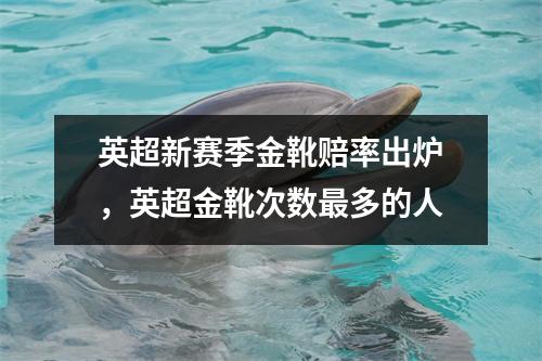 英超新赛季金靴赔率出炉，英超金靴次数最多的人