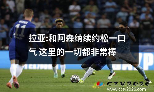 拉亚:和阿森纳续约松一口气 这里的一切都非常棒