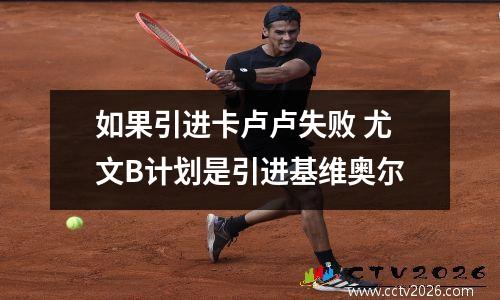 如果引进卡卢卢失败 尤文B计划是引进基维奥尔