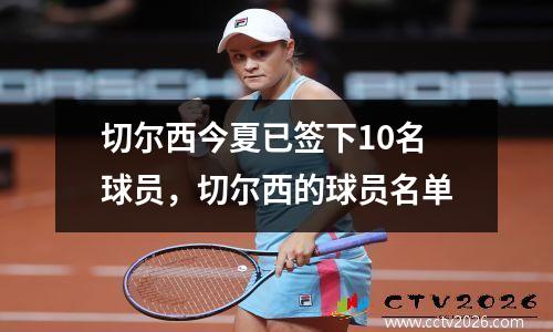 切尔西今夏已签下10名球员，切尔西的球员名单