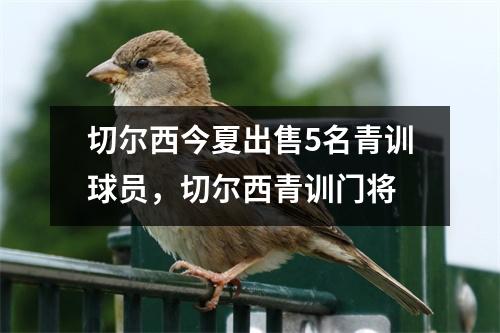 切尔西今夏出售5名青训球员，切尔西青训门将
