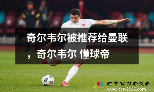 奇尔韦尔被推荐给曼联，奇尔韦尔 懂球帝
