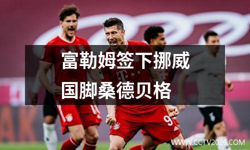 富勒姆签下挪威国脚桑德贝格