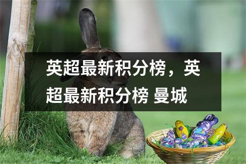 英超最新积分榜，英超最新积分榜 曼城