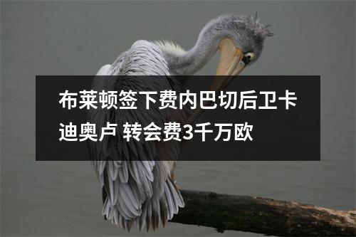 布莱顿签下费内巴切后卫卡迪奥卢 转会费3千万欧