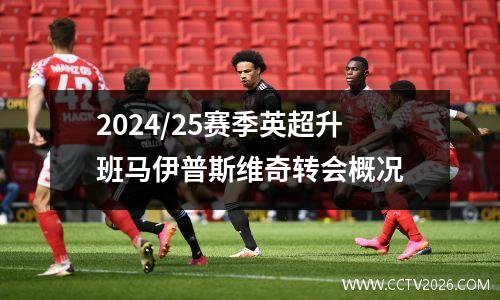 2024/25赛季英超升班马伊普斯维奇转会概况