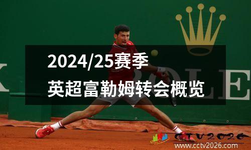 2024/25赛季英超富勒姆转会概览