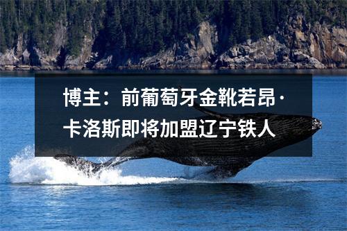 博主：前葡萄牙金靴若昂·卡洛斯即将加盟辽宁铁人
