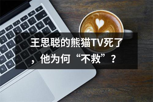王思聪的熊猫TV死了，他为何“不救”？