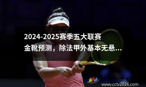 2024-2025赛季五大联赛金靴预测，除法甲外基本无悬念