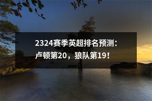 2324赛季英超排名预测：卢顿第20，狼队第19！