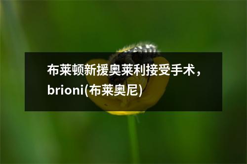 布莱顿新援奥莱利接受手术，brioni(布莱奥尼)