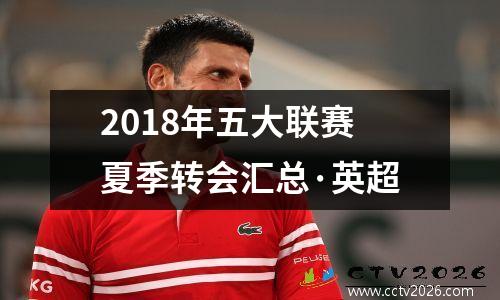 2018年五大联赛夏季转会汇总·英超