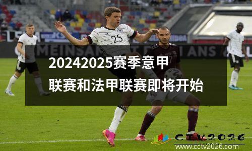 20242025赛季意甲联赛和法甲联赛即将开始