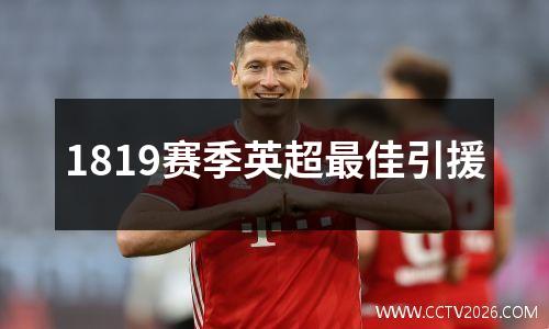 1819赛季英超最佳引援