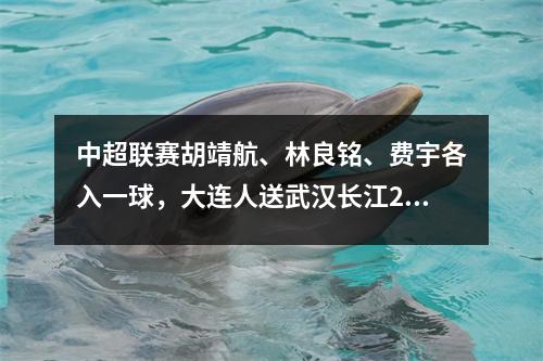 中超联赛胡靖航、林良铭、费宇各入一球，大连人送武汉长江21连败