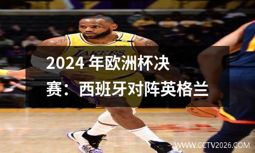 2024 年欧洲杯决赛：西班牙对阵英格兰