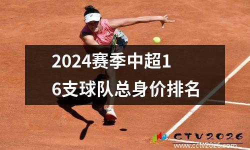 2024赛季中超16支球队总身价排名