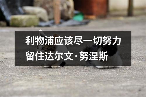 利物浦应该尽一切努力留住达尔文·努涅斯