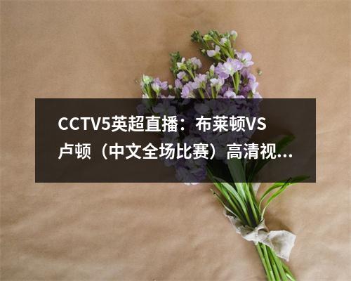 CCTV5英超直播：布莱顿VS卢顿（中文全场比赛）高清视频