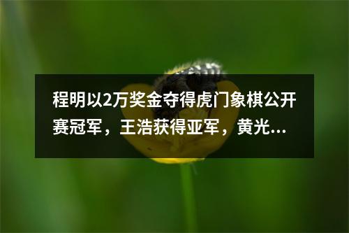 程明以2万奖金夺得虎门象棋公开赛冠军，王浩获得亚军，黄光英获得季军。
