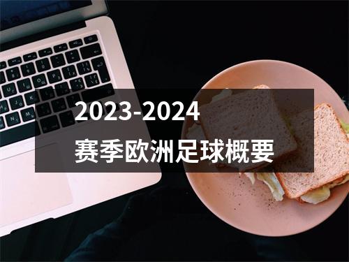 2023-2024赛季欧洲足球概要