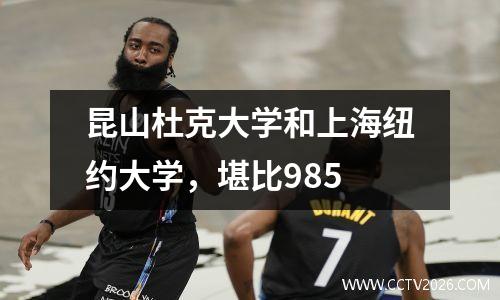 昆山杜克大学和上海纽约大学，堪比985