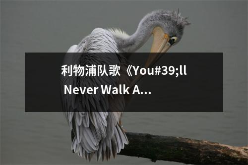 利物浦队歌《You#39;ll Never Walk Alone》非常鼓舞人心。