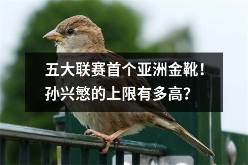 五大联赛首个亚洲金靴！孙兴慜的上限有多高？